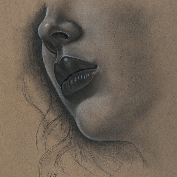 </br>
<b>Cate Rangel</b>
</br>
<i>Mouth and Nose Study</i></br>
Graphite, charcoal on 80lb toned paper,</br>acid free, medium surface</br>6.5” x 7"  •   $200.<br><font size="+7"><font color="red">  •</font></font>