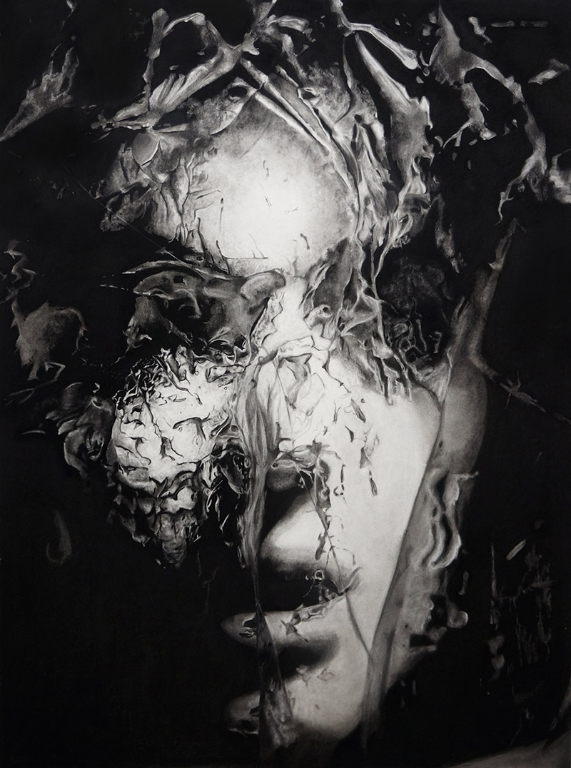 Tricia Butski

Suppose
Charcoal on paper  |  51" x 67" •  $2000.