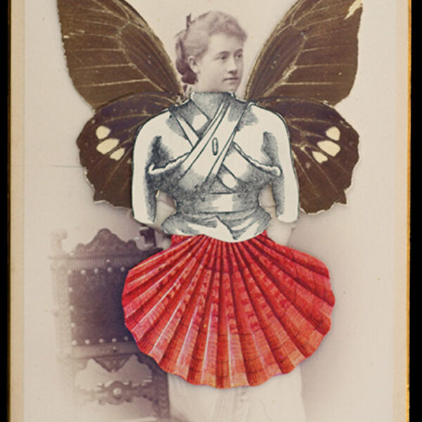 </br> <b>Hope Kroll</b> </br> <i>Wilhelmine</i></br>Paper, vintage photo, butterfly wings
</br>6” x 4.5”  •  $600.