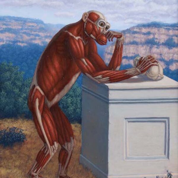</br> <b>Sandra Yagi</b> </br> <i>Anatomical Chimp with Hide</i></br>Oil on panel</br>16” x 12”   •  $1400.