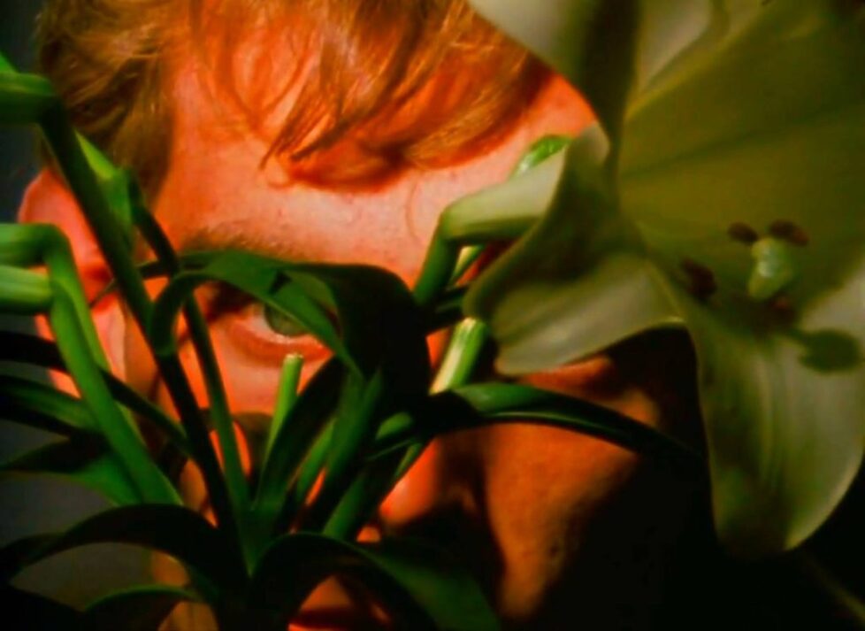 PIECES A woman is hiding behind some plants