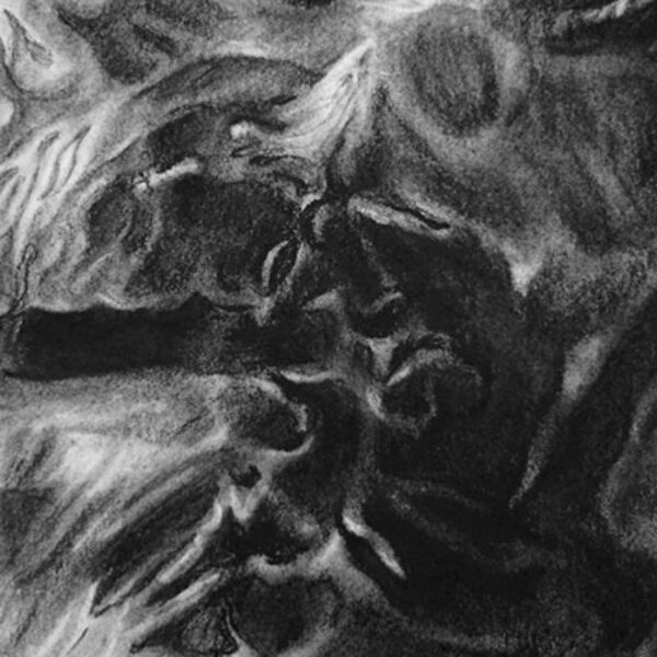 </br><i>Fragment 7</i></br>Charcoal on paper
</br>6" x 8"   •  $280.