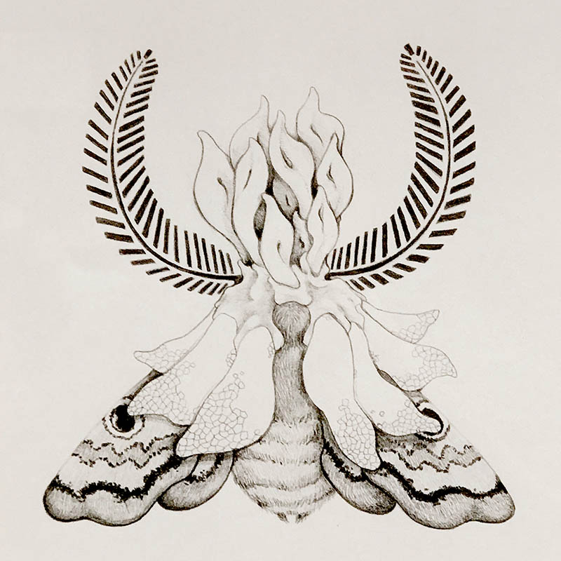 ESTHER_NEISEN_lr Surreal moth with floral and feather elements.