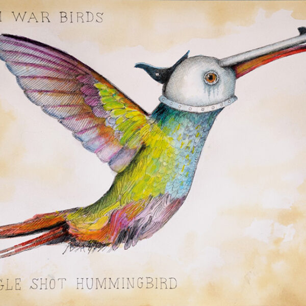 War Birds Single Shot Hummingbird