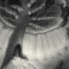 A black and white photo of an artistic tree.