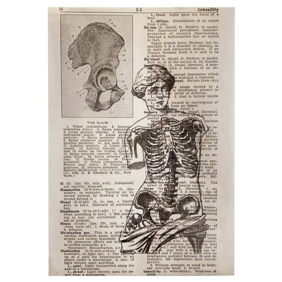 A skeleton and an ear on top of a dictionary page.