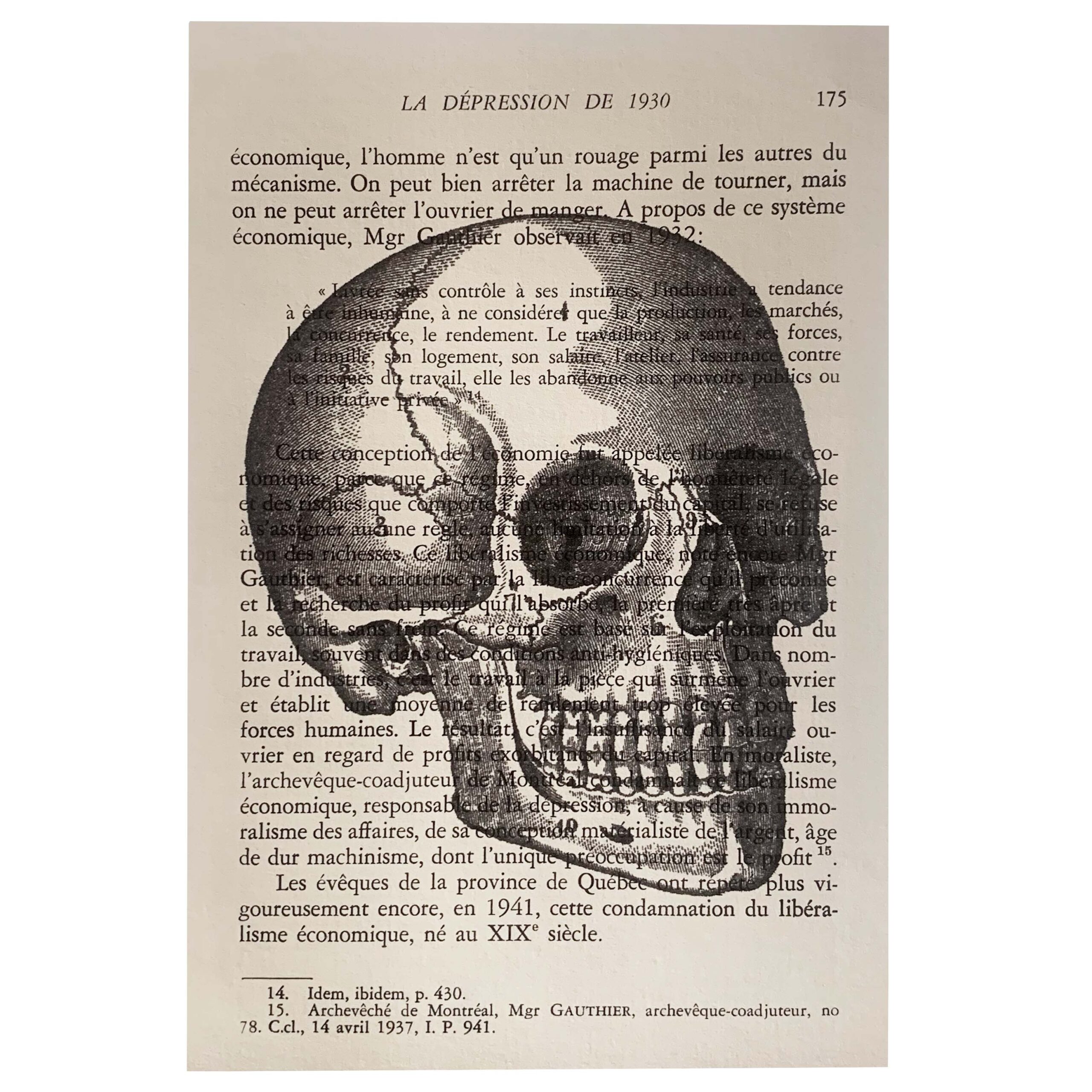 Latin Skull