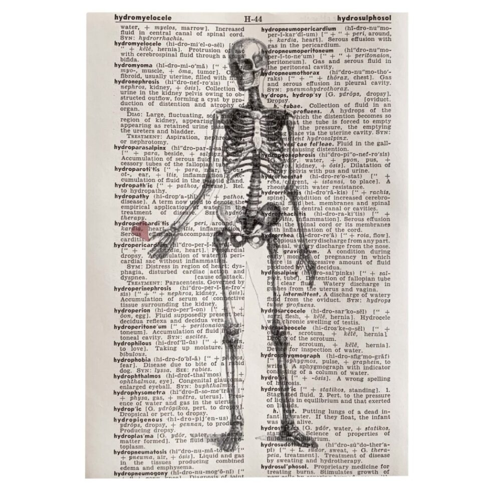 Skeleton illustration on vintage dictionary page.