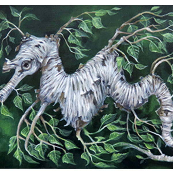 SILVER BIRCH DRAGON