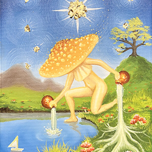 AMANITA STAR CARD