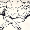 A drawing of an animal with wings on its back