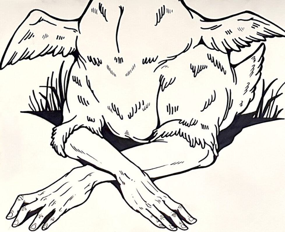 AUTUMN_ZAIONZ A drawing of an animal with wings on its back