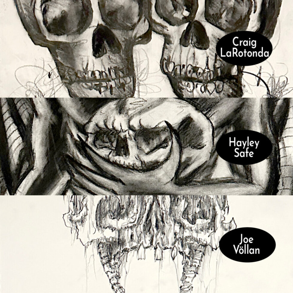 CRAIG_LAROTONDA_HAYLEY_SAFE_JOE_VOLLAN_web Three different drawings of skulls with names on them.