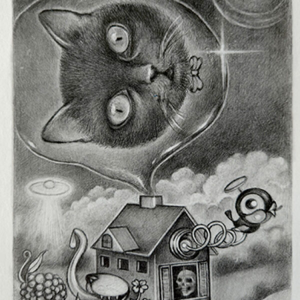 CAT BUBBLE HOUSE