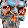 A skull with chains hanging from it's face.