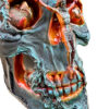 A close up of the face of a skull