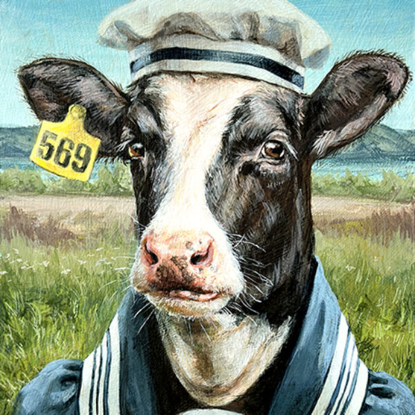 Cow 569