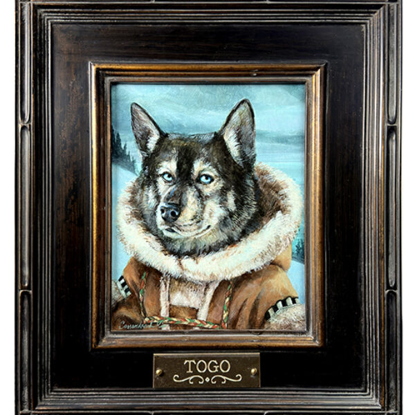 Togo the Sled Dog