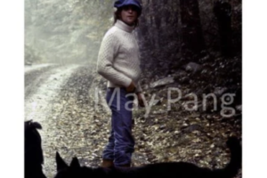 MAY_PANG_A_WALK_IN_THE_WILDERNESS_WATERMARK