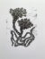 Mold With Spores