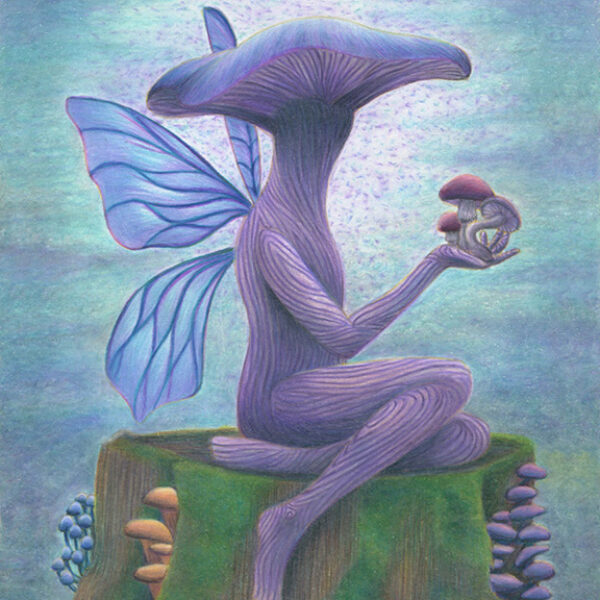 Mushroom Fairy