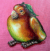 Mango Bird