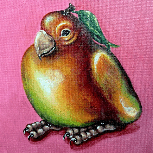 Mango Bird