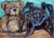 Teddy’s Tarantula