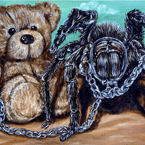 Teddy’s Tarantula
