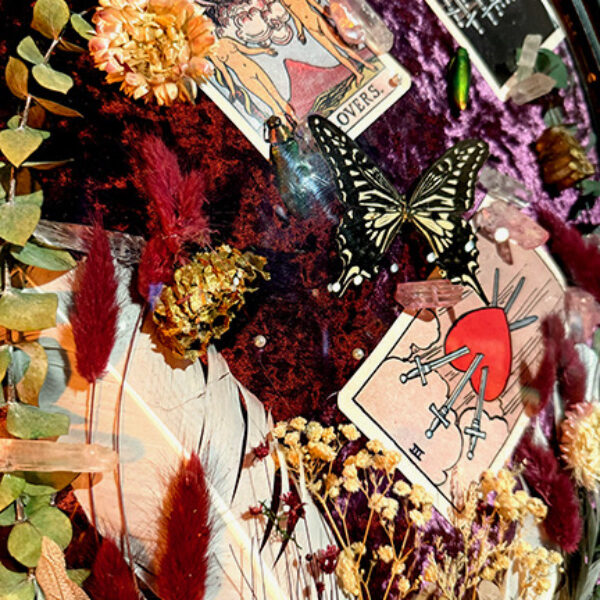 Untitled 1