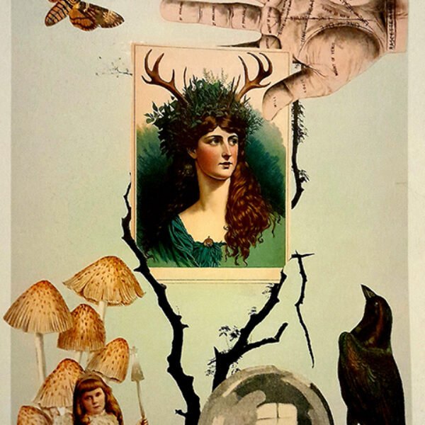 Whimsical Magic