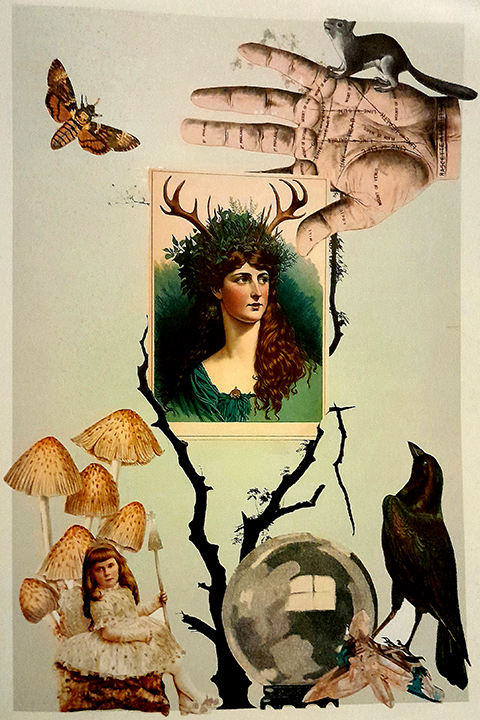 Whimsical Magic